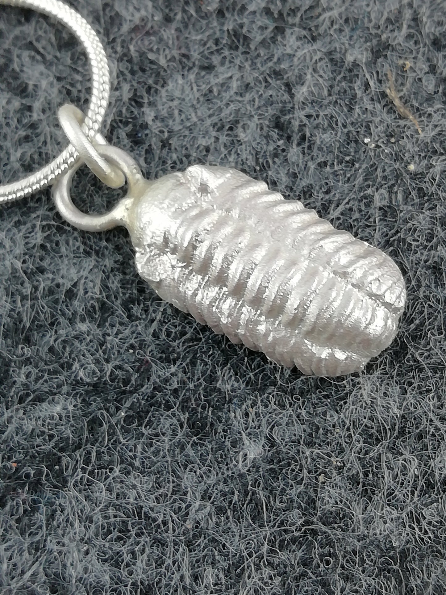 Beautiful necklace with trilobite made of 925 silver