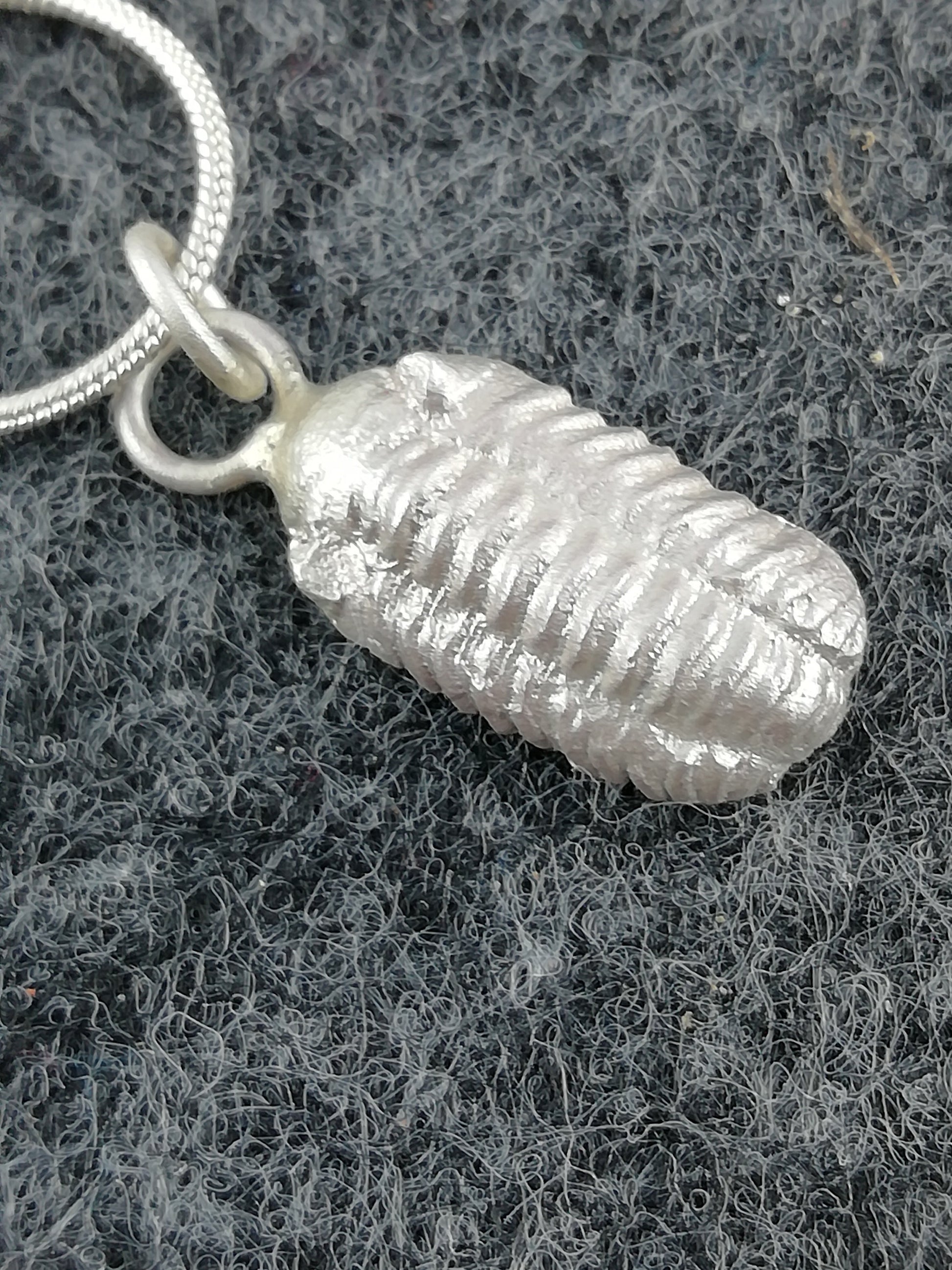 Beautiful necklace with trilobite made of 925 silver