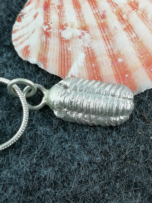Beautiful necklace with trilobite made of 925 silver