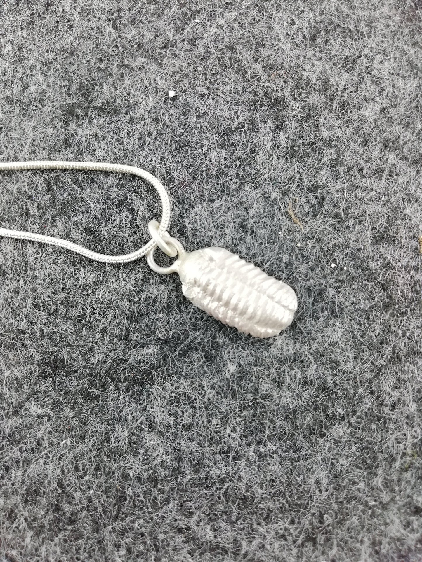 Beautiful necklace with trilobite made of 925 silver